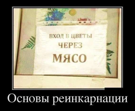 ВХОД В ЦВЕТЫ ЧЕРЕЗ МЯСО
Основы реинкарнации