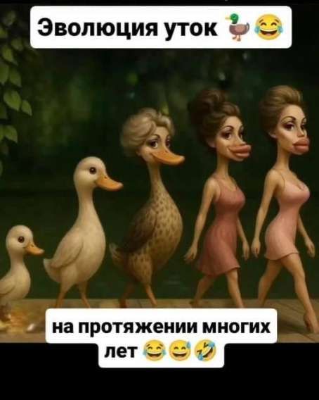 Эволюция уток
на протяжении многих лет 😂😂😂