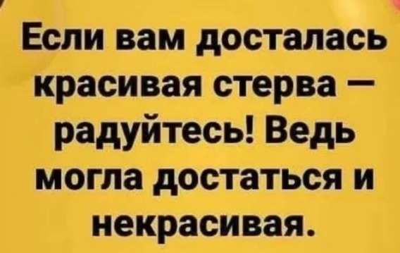 Если вам досталась красивая стерва — радуйтесь! Ведь могла достаться и некрасивa.