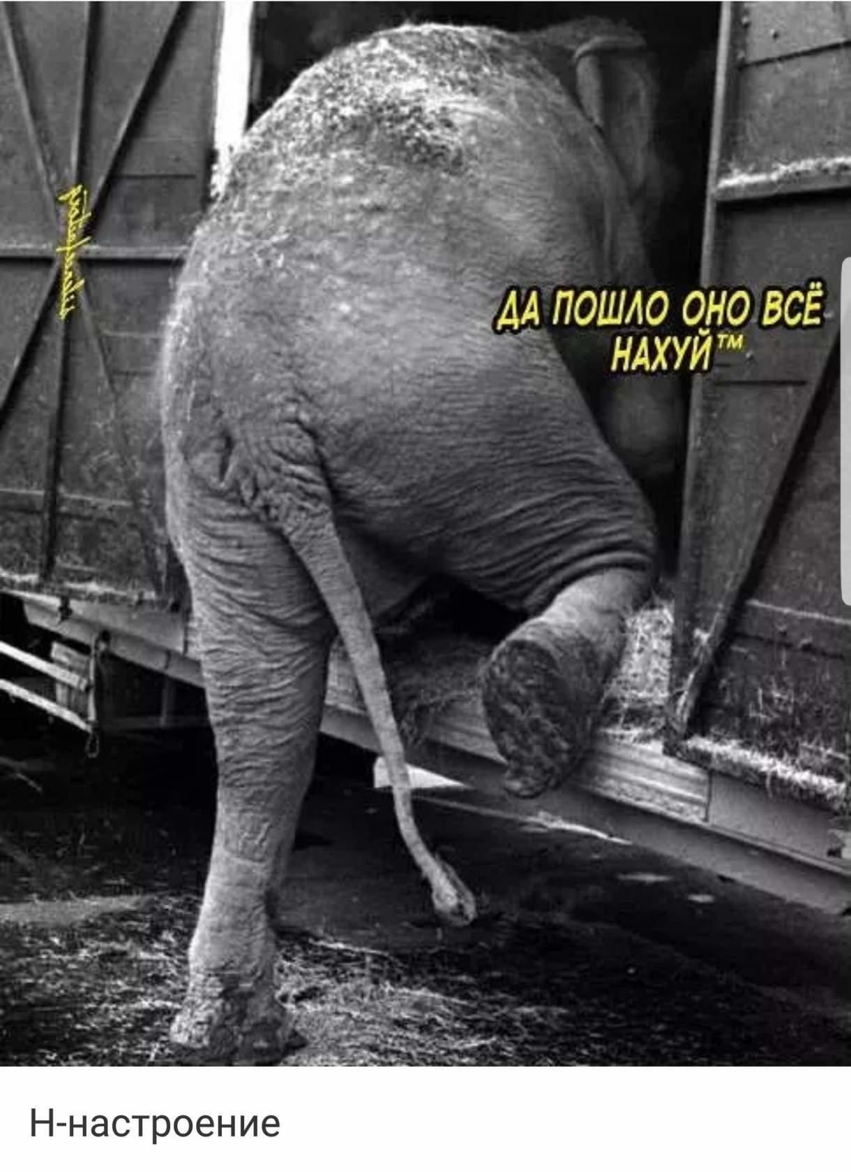 ДА ПОШЛО ОНО ВСЁ НАХУЙ™
H-настроение