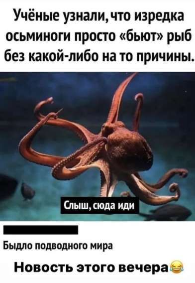 Учёные узнали, что изредка осьминоги просто «бьют» рыб без какой-либо на то причины.
Слыш, сюда иди
Было подводного мира
Новость этого вечера 😂