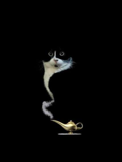 Кот выглядывает из темноты рядом с золотой лампой