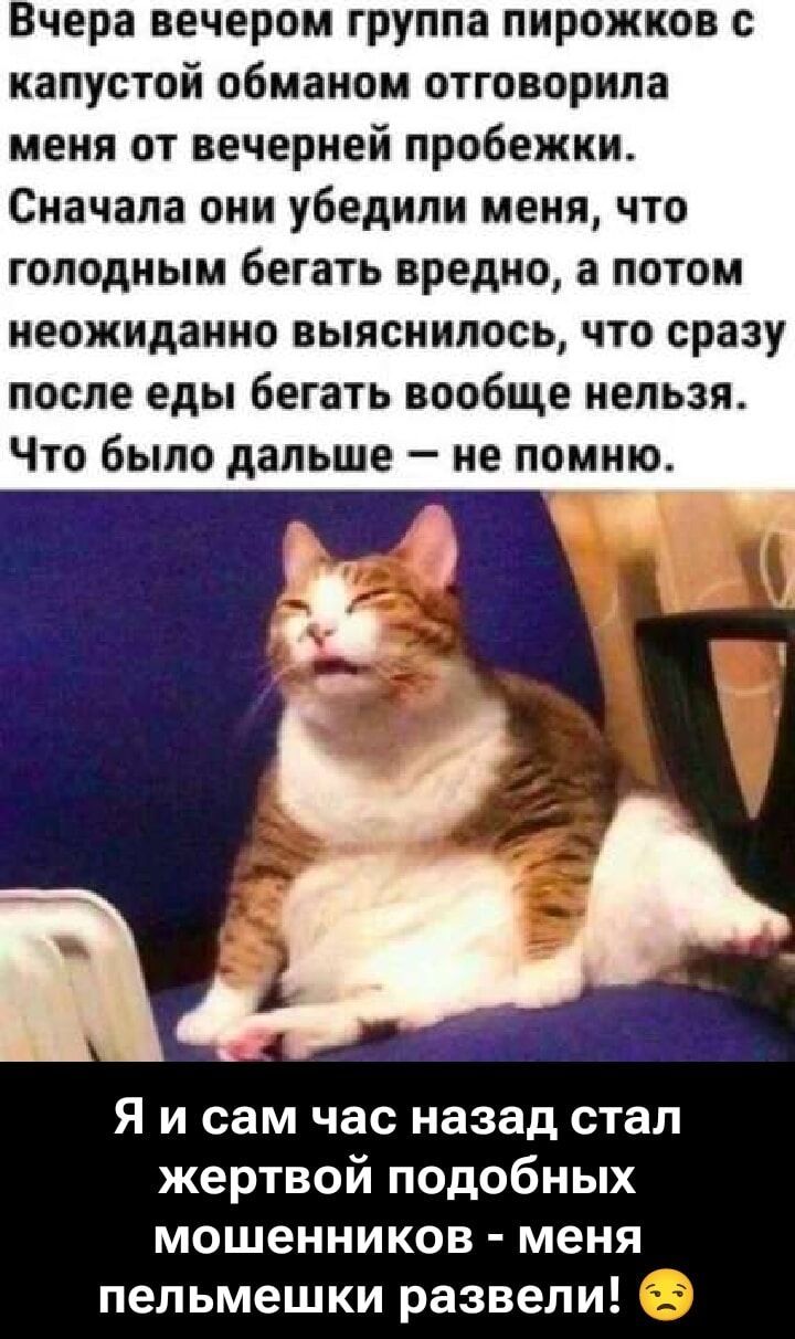 Вчера вечером группа пирожков с капустой обманом отговорила меня от вечерней пробежки. Сначала они убедили меня, что голодным бежать вредно, а потом неожиданно выяснилось, что сразу после еды бегать вообще нельзя. Что было дальше — не помню. Я и сам час назад стал жертвой подобных мошенников - меня пельмешки развели!