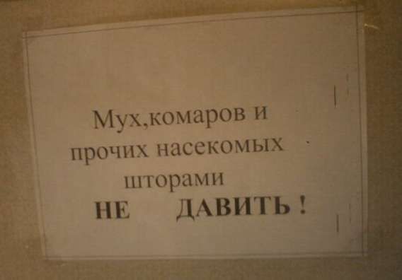 Мух, комаров и прочих насекомых шторками НЕ ДАВИТЬ!