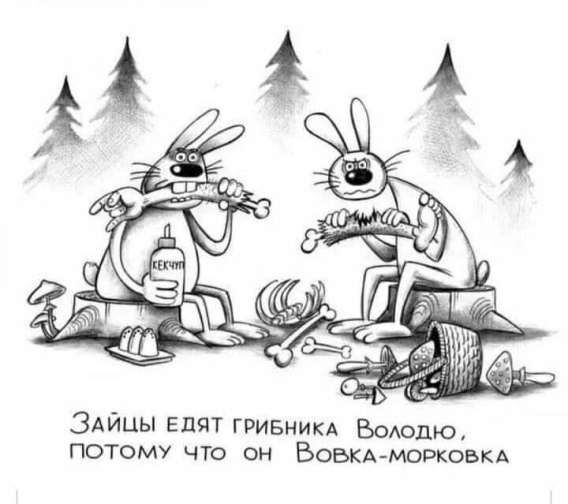 Зайцы едят грибника Володу, потому что он Вовка-морковка