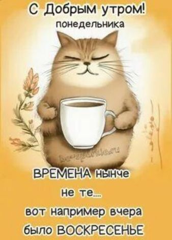 С Добрым утром! понедельника ВРЕМЕНА нынче не те... вот, например, вчера было ВОСКРЕСЕНЬЕ