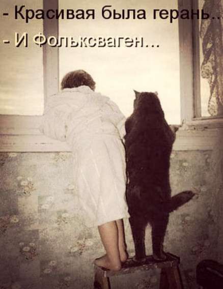 - Красивaя была герaнь... - И Фольксоваген...