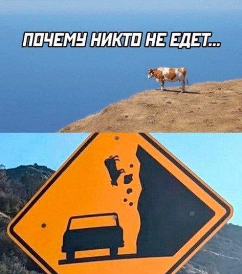 ПОЧЕМУ НИКТО НЕ ЕДЕТ...