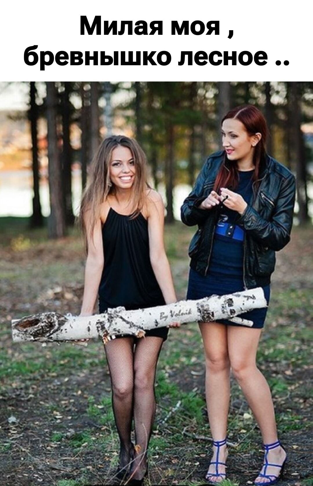 Милая моя , бревнышко лесное ..