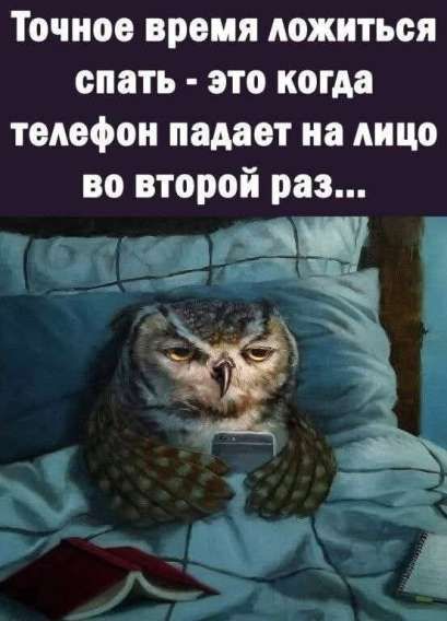 Точное время ложиться спать - это когда телефон падает на лицо во второй раз...