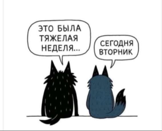 ЭТО БЫЛА ТЯЖЕЛАЯ НЕДЕЛЯ...
СЕГОДНЯ ВТОРНИК