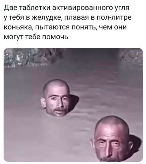 Две таблетки активированного угля у тебя в желудке, плавaя в пол-литре коньяка, пытаются понять, чем они могут тебе помочь