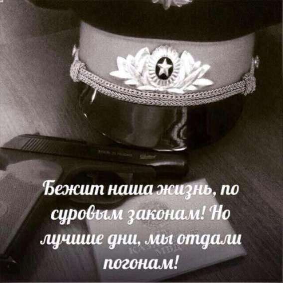 Бежит наша жизнь, по сыровым законам! Но лучшие дни, мы отдали погонгам!