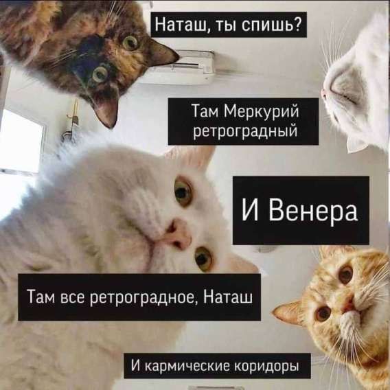Наташ, ты спишь? Там Меркурий ретроградный и Венера. Там все ретроградное, Наташ, И кармические коридоры