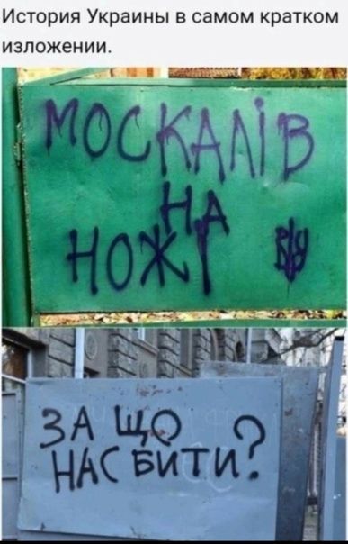 История Украины в самом кратком изложении. МОСКАЛІВ НОЖА ЗА ЩО НАС БИТИ?