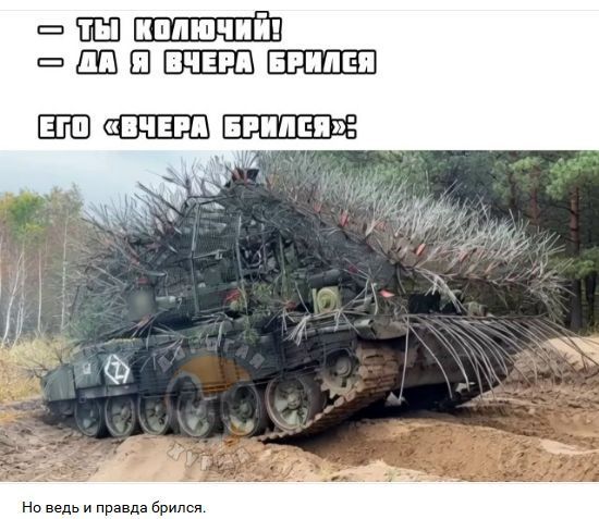 - ТЫ КОЛЮЧИЙ!
- ДА Я ВЧЕРА БРЫЛСЯ
ЕГО «ВЧЕРА БРИЛСЯ»
Но ведь и правда брился.