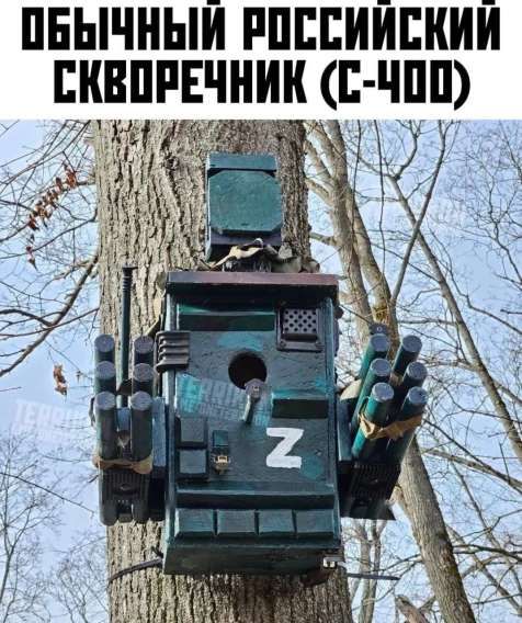 ОБЫЧНЫЙ РОССИЙСКИЙ СКВОРЕЧНИК (С-40)