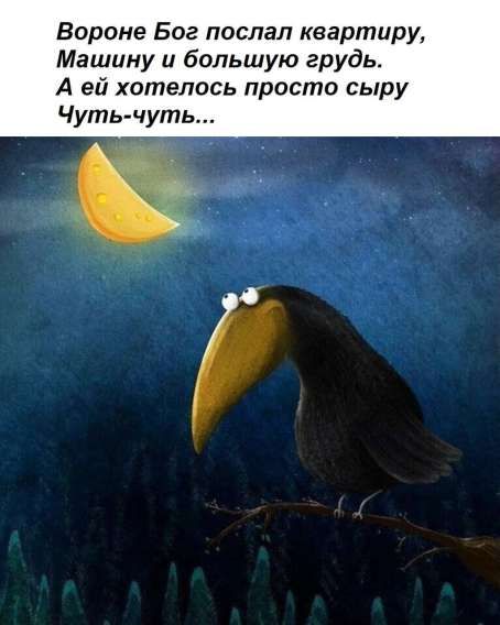 Вороне Бог послал квартиру, Машину и большую грудь. А ей хотелось просто сырую Чуть-чуть...