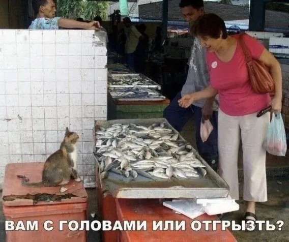 вам с головами или отгрызть?