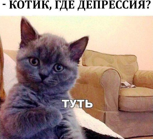 - КОТИК, ГДЕ ДЕПРЕССИЯ? ТУТЬ