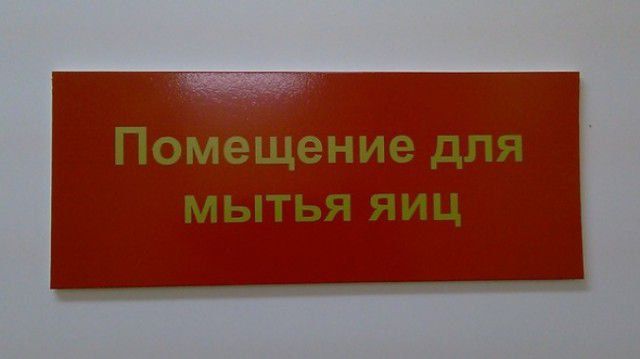 Помещение для мытья яиц