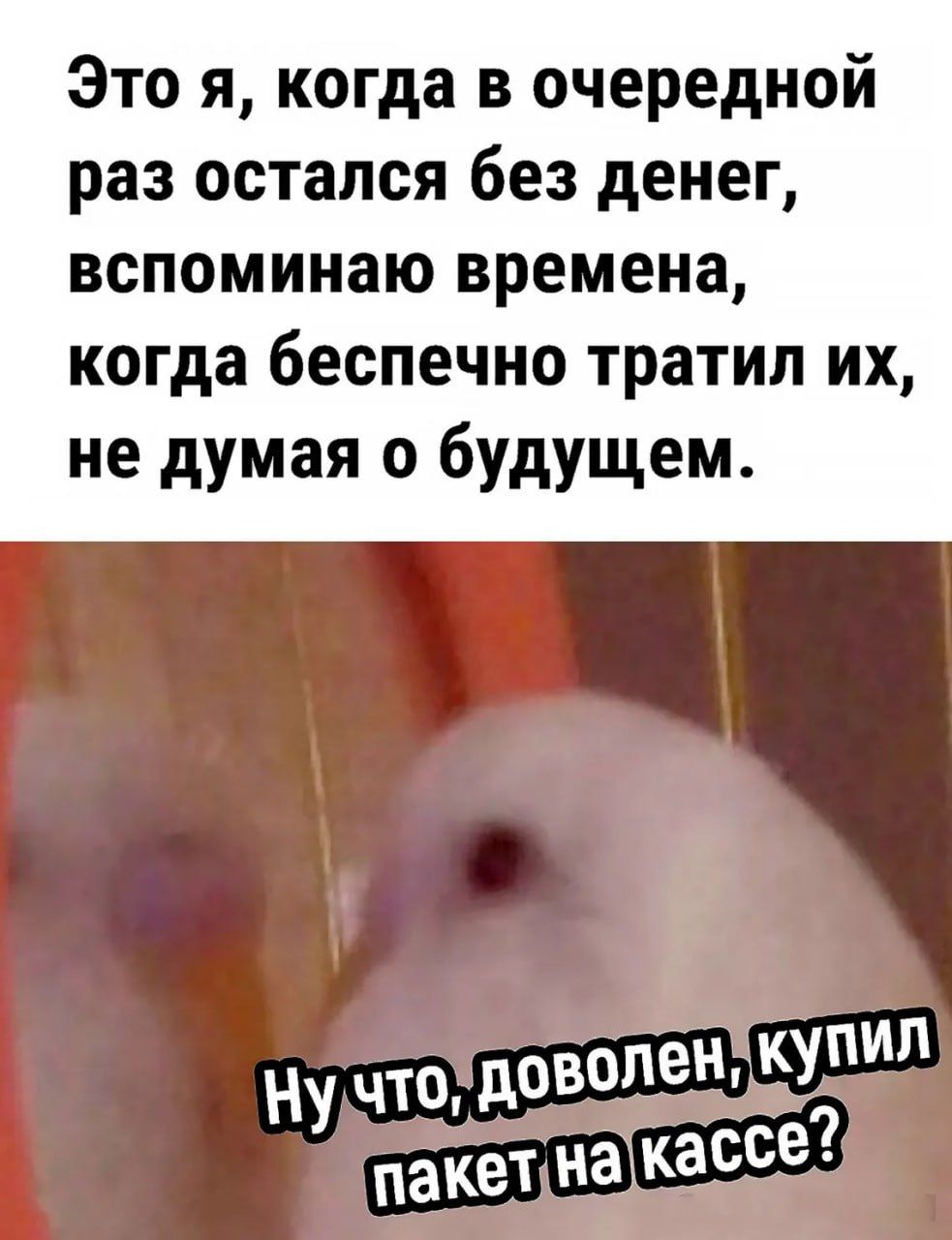 Это я, когда в очередной раз остался без денег, вспоминаю времена, когда беспечно тратил их, не думая о будущем. Ну что, доволен, купил пакет на кассе?