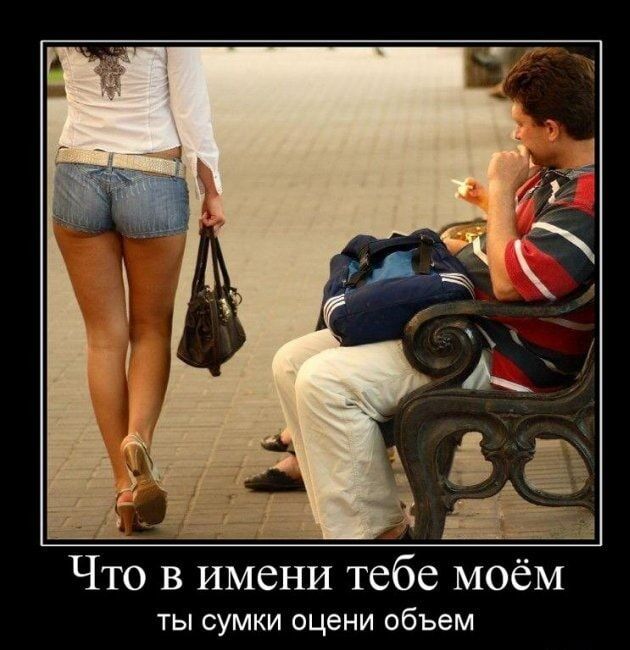 Что в имени тебе моём ты сумки оцени объем