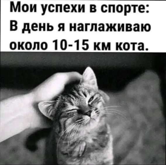 Мои успехи в спорте: В день я наглаживаю около 10-15 км кота.