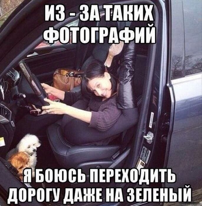 ИЗ-ЗА ТАКИХ ФОТОГРАФИЙ Я БОЮСЬ ПЕРЕХОДИТЬ ДОРОГУ ДАЖЕ НА ЗЕЛЕНЫЙ