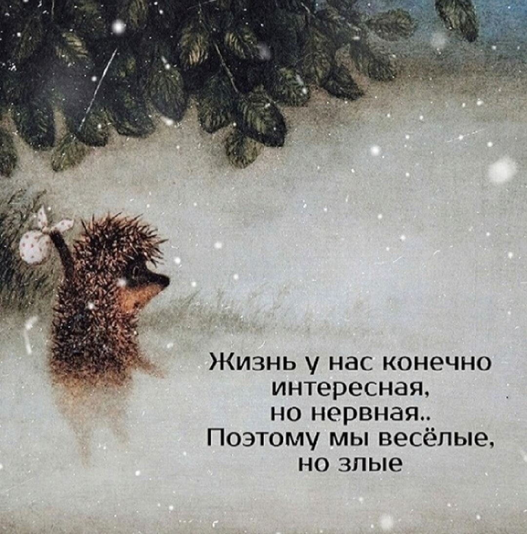 Жизнь у нас конечно интересная, но нервная.. Поэтому мы весёлые, но злые