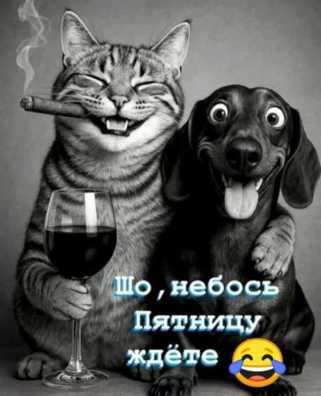 Шо, небось Пятницу ждёте