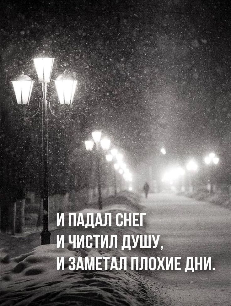 И ПАДАЛ СНЕГ И ЧИСТИЛ ДУШУ, И ЗАМЕТАЛ ПОХИЕ ДНИ.