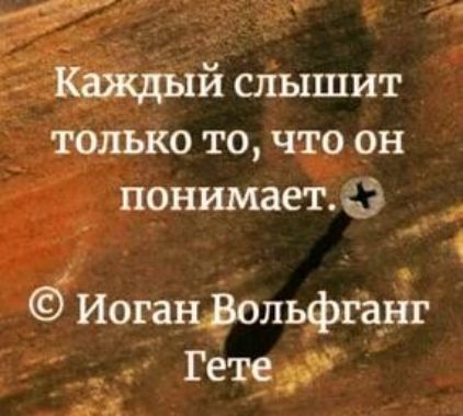 Каждый слышит только то, что он понимает. © Иоган Вольфганг Гете