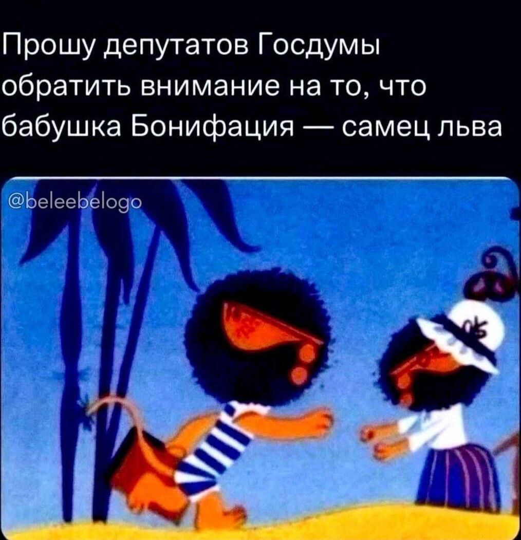 Прошу депутатов Госдумы обратить внимание на то, что бабушка Бонифация — самец льва