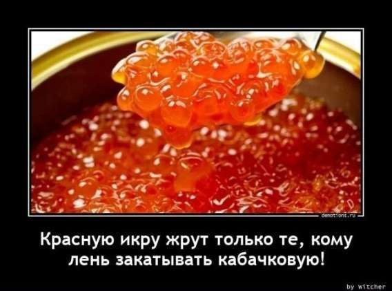Красную икру жрут только те, кому лень закатывать кабачковую!