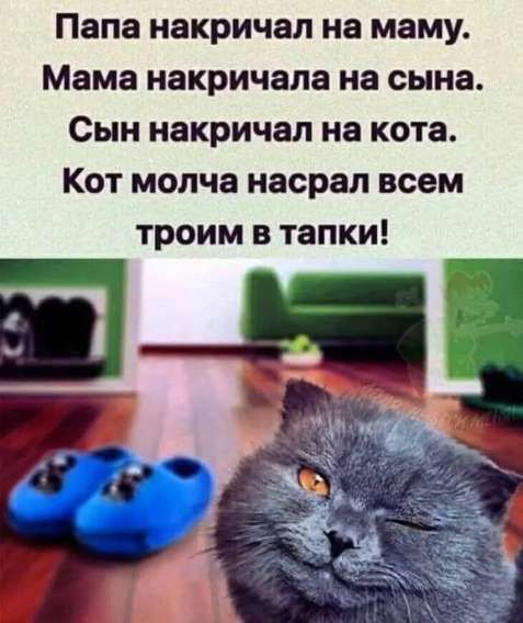 Папа накричал на маму.
Мама накричала на сына.
Сын накричал на кота.
Кот молча насрал всем троим в тапки!