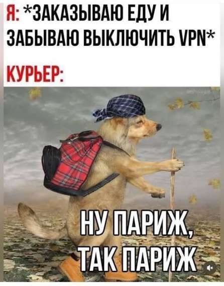 Я: *ЗАКАЗЫВАЮ ЕДУ И ЗАБЫВАЮ ВЫКЛЮЧИТЬ VPN*
КУРЬЕР:
Ну Париж, так Париж