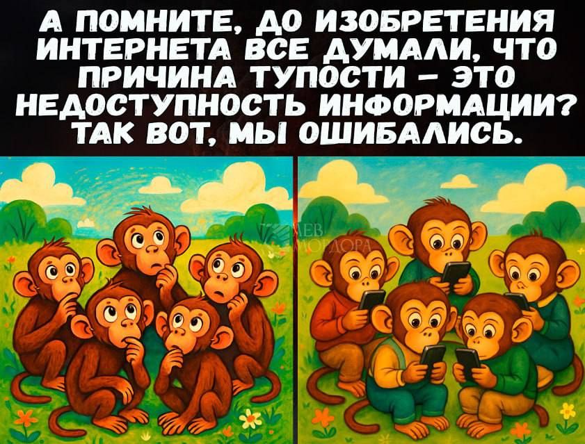А помните, до изобретения интернета все думали, что причина тупости — это недоступность информации? Так вот, мы ошибались.