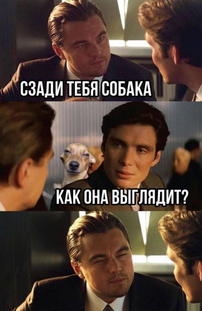 Сзади тебя собака
Как она выглядит?