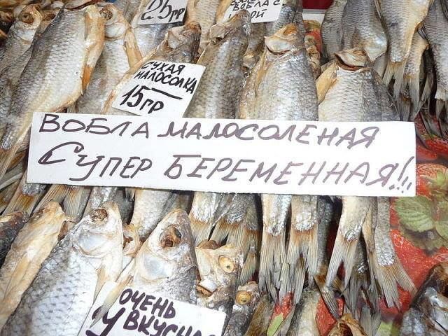 Вобла малосольная супер беременная!!