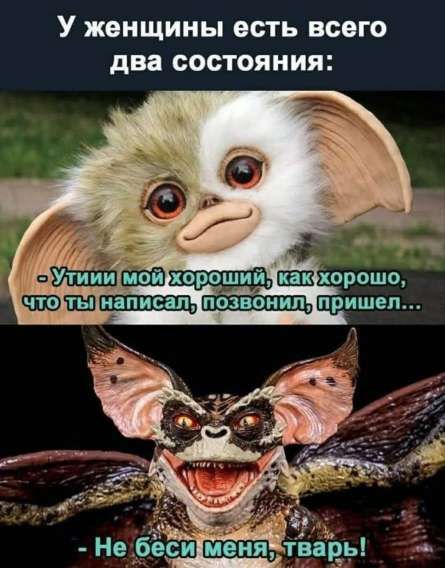 У женщины есть всего два состояния:
- Утии мой хороший, как хорошо, что ты написал, позвонил, пришел...
- Не беси меня, тварь!