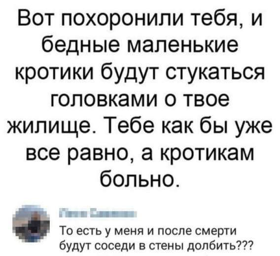 Вот похоронили тебя, и бедные маленькие кротики будут стукаться головками о твое жилище. Тебе как бы уже все равно, а кротикам больно. То есть у меня и после смерти будут соседи в стены долбить???