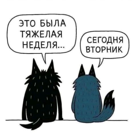 Это была тяжелая неделя... Сегодня вторник