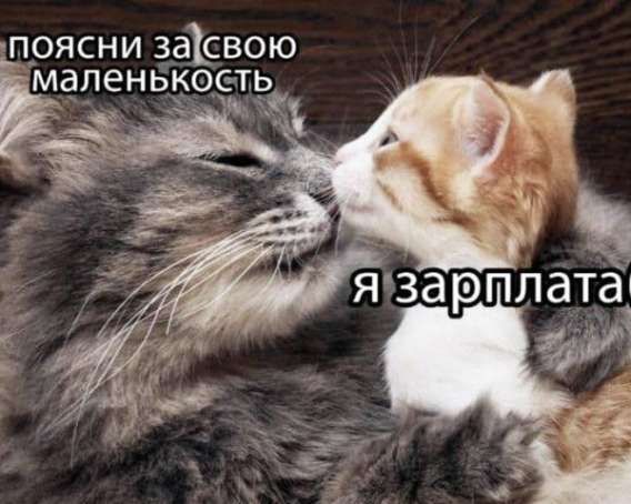 поясни за свою маленькость\nя зарплата