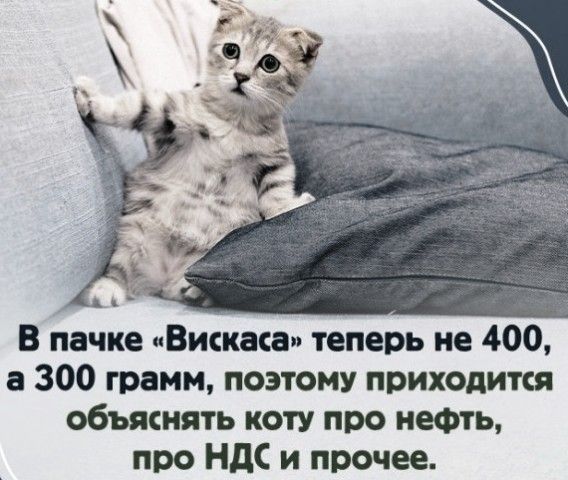 В пачке «Вискаса» теперь не 400, а 300 грамм, поэтому приходится объяснять коту про нефть, про НДС и прочее.