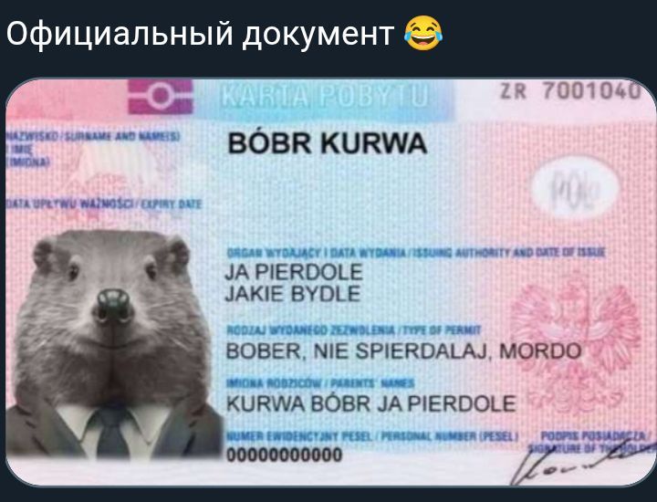 Официальный документ 😂 BÓBR KURWA JA PIERDOL JAKIE BYDŁO BOER NIE SPIERDALAJ MORDO