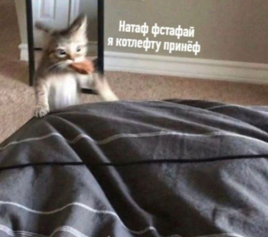 Нагаф фстфай я котлефту принеф