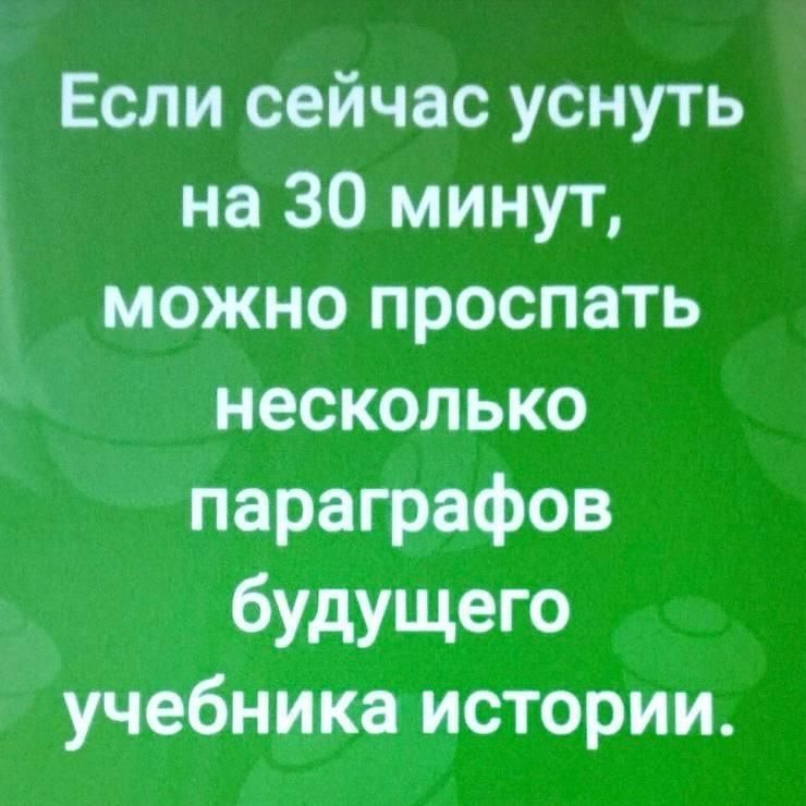 Если сейчас уснуть на 30 минут, можно проспать несколько параграфов будущего учебника истории.