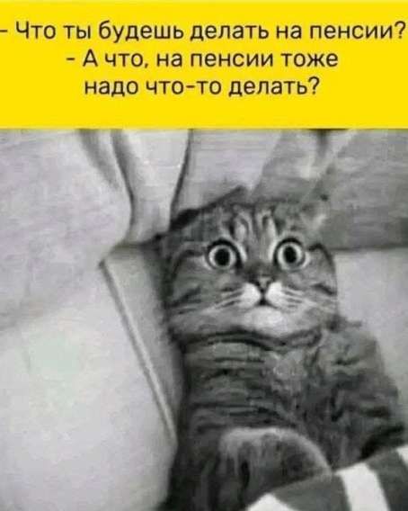 Что ты будешь делать на пенсии? - А что, на пенсии тоже надо что-то делать?