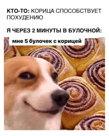 КТО-ТО: КОРИЦА СПОСОБУЕТ ПОХУДЕНИЮ\nЯ ЧЕРЕЗ 2 МИНУТЫ В БУЛОЧНОЙ:\nмне 5 булочек с корицей